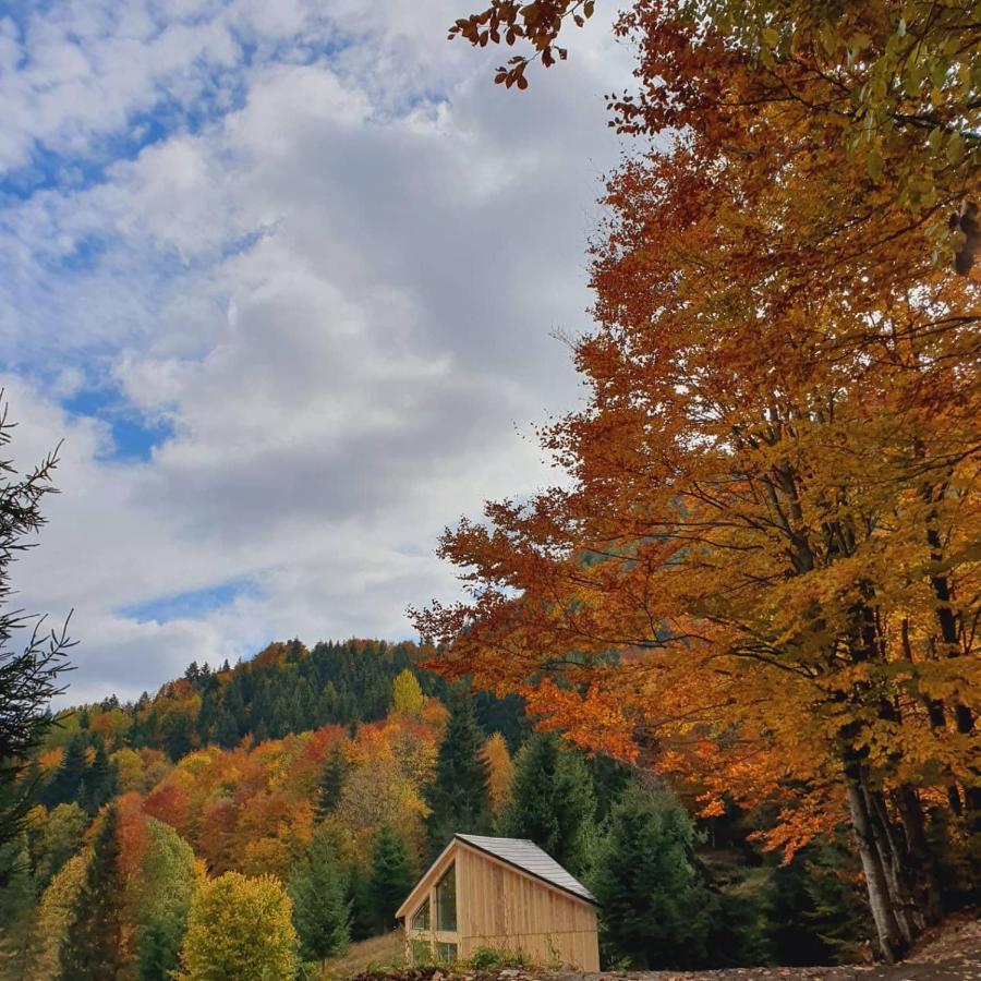 La Hambare Chalet Colibita