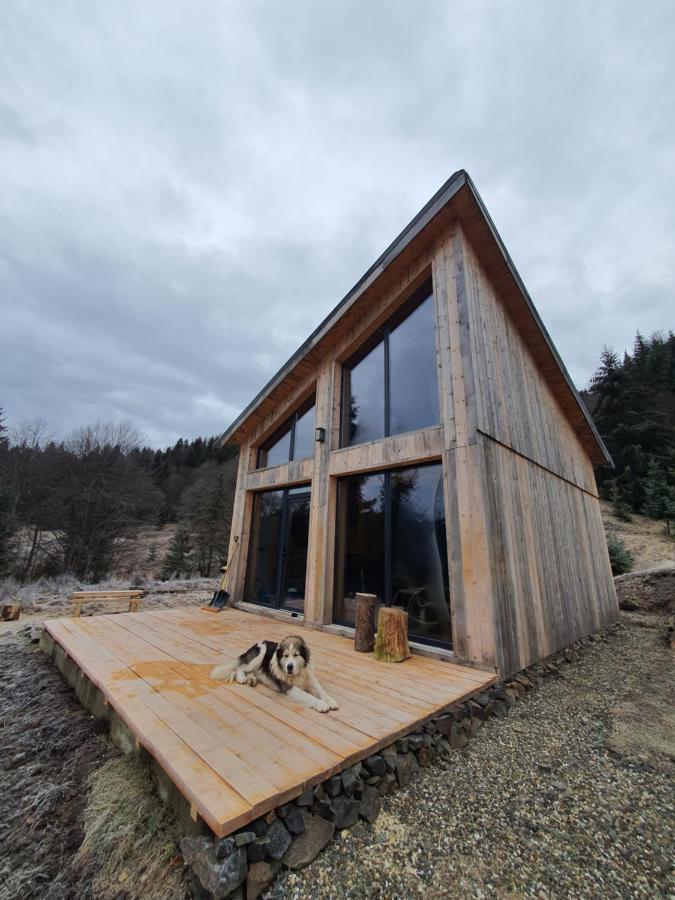 La Hambare Chalet Colibita
